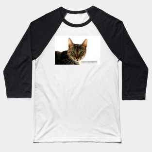 Tabby Mammy Baseball T-Shirt